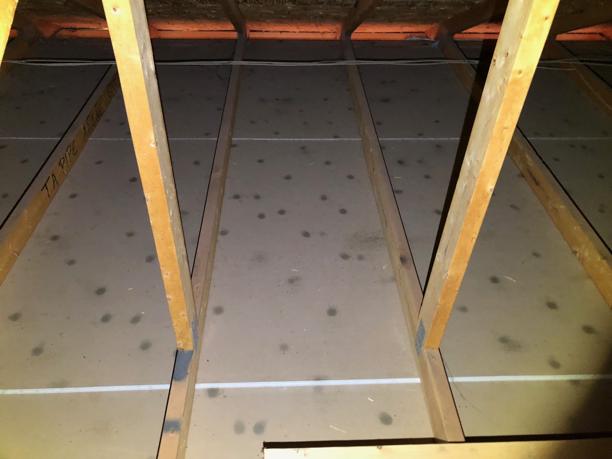 Molded drywall Radon & Mold